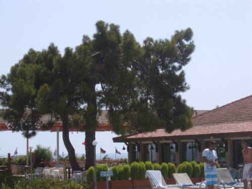 Отзыв об отеле «Aska Costa Holiday Club 5*» (Турция,Сиде)
